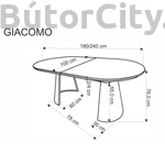 Kép 13/13 - GIACOMO bővíthető étkezőasztal, ovális, szín: természetes tölgy/fekete (180-240*100)