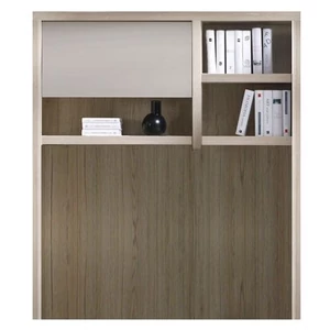 Roma system panel (ROM5)