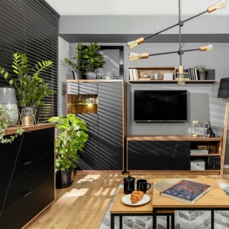 Forn elemes bútorcsalád (delano tölgy korpusz/választható front) (BRW) - nappali, hálószoba