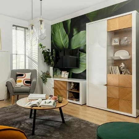 Rovika elemes bútorcsalád (BRW) - nappali