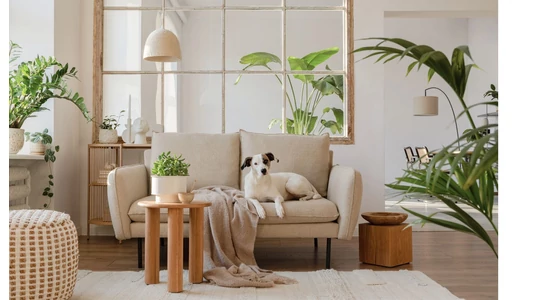 Bútorok a nappaliba akár online - avagy praktikus tanácsok a nappali tervezéséhez és megvalósításához