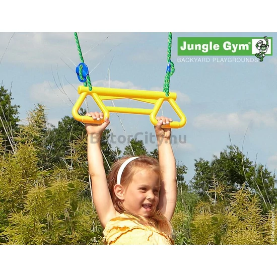 Monkey bar (majomhinta)