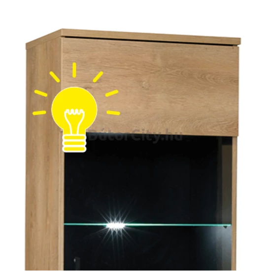 Siran vitrinhez LED világítás